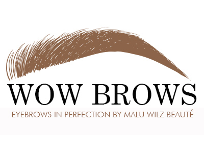 eyebrows in perfection Eyebrow graphic