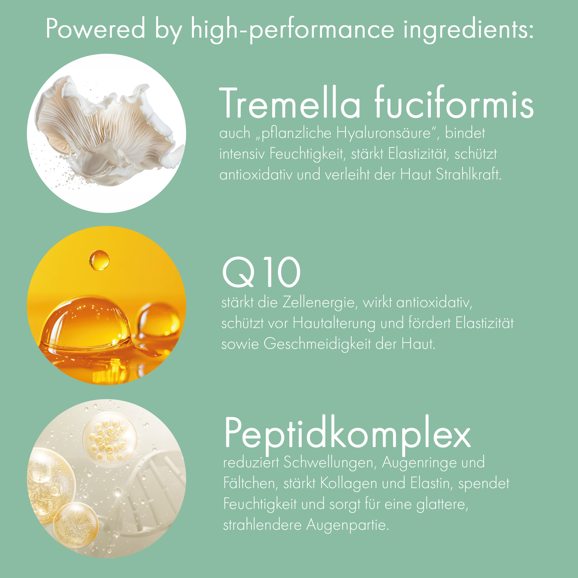 Das Lift & Contour Eye Serum überzeugt mit einem hochwirksamen Wirkstoffkomplex Wirkstoffe Eye Serum