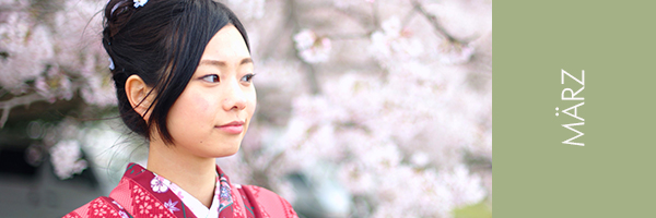 Beauty of Sakura junge asiatin im Kimono vor Kirschblüten