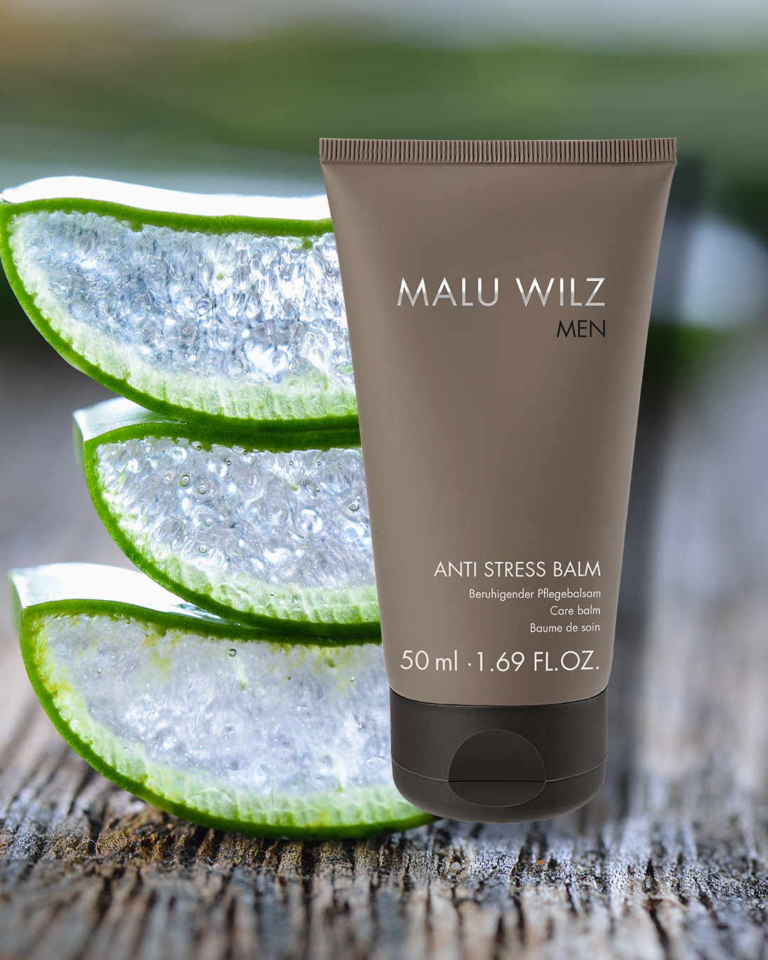 Aloe Vera und Hautpflegeprodukt in brauner Tube