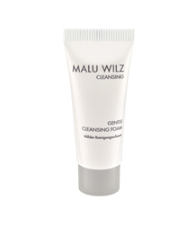 Gentle Cleansing Foam Gentle Cleansing Foam